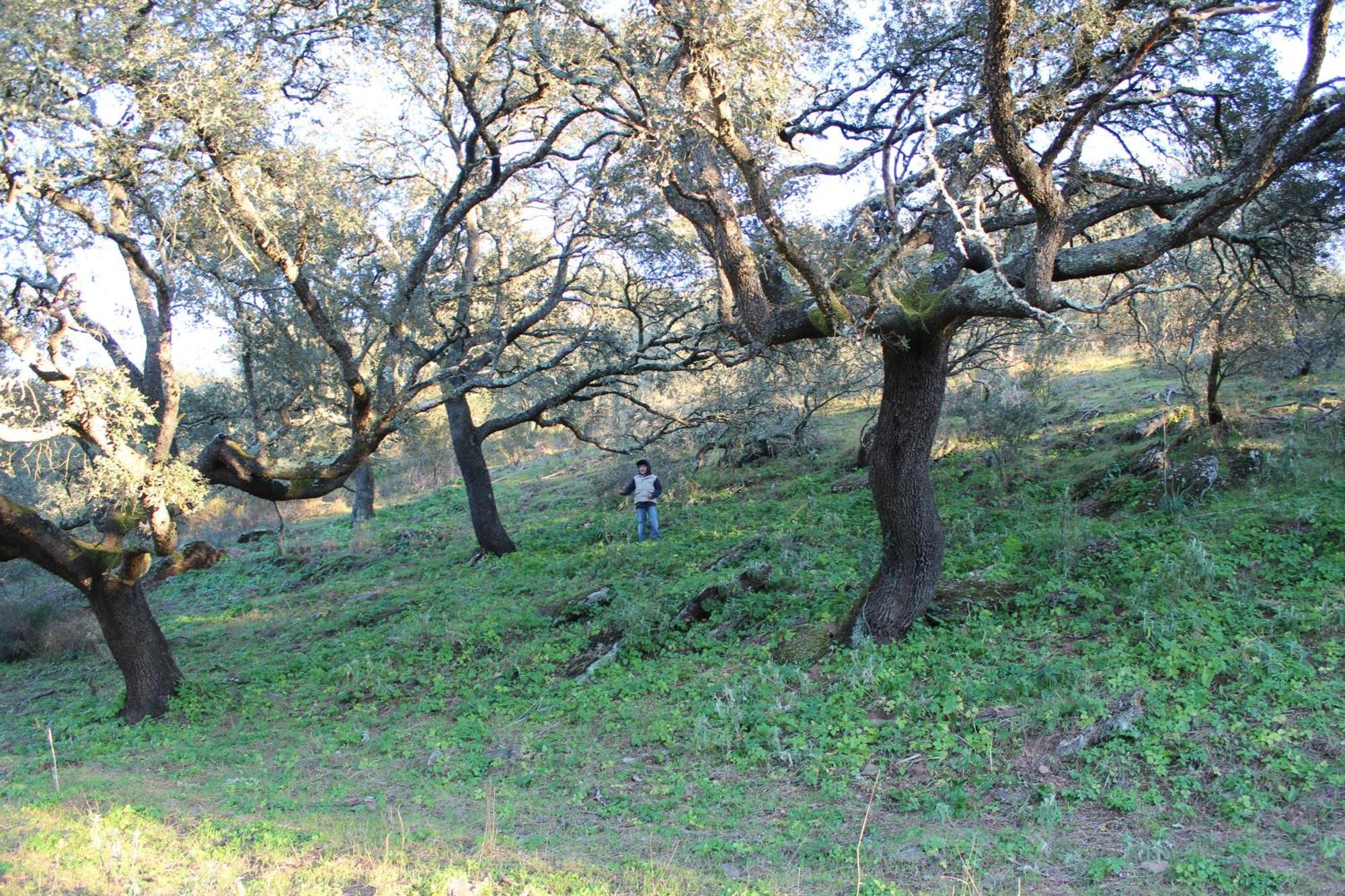 Agroturismo Xistos Cerca Dış mekan fotoğraf