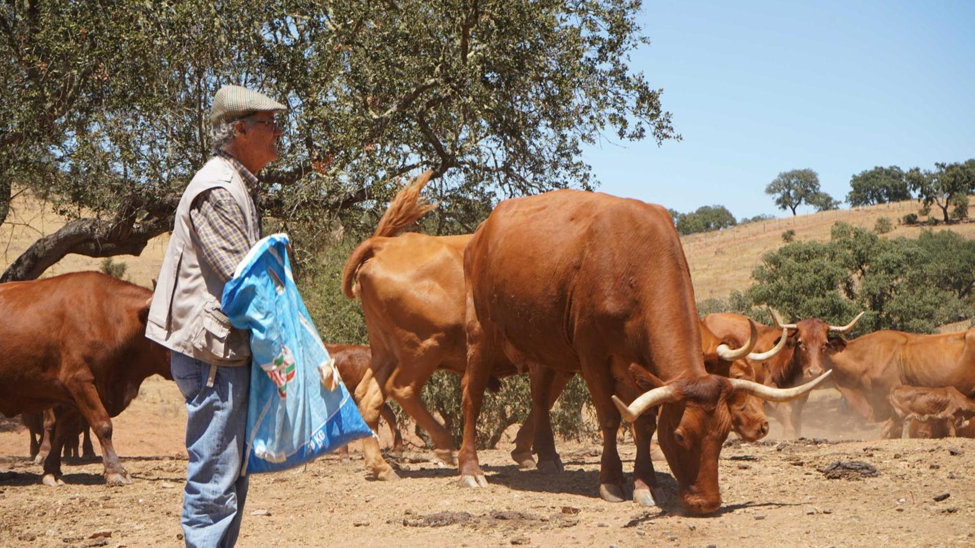 Agroturismo Xistos Cerca Dış mekan fotoğraf