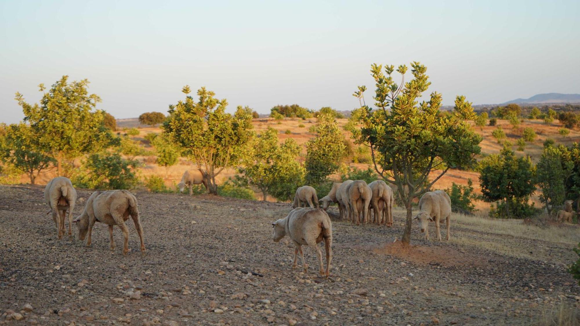 Agroturismo Xistos Cerca Dış mekan fotoğraf