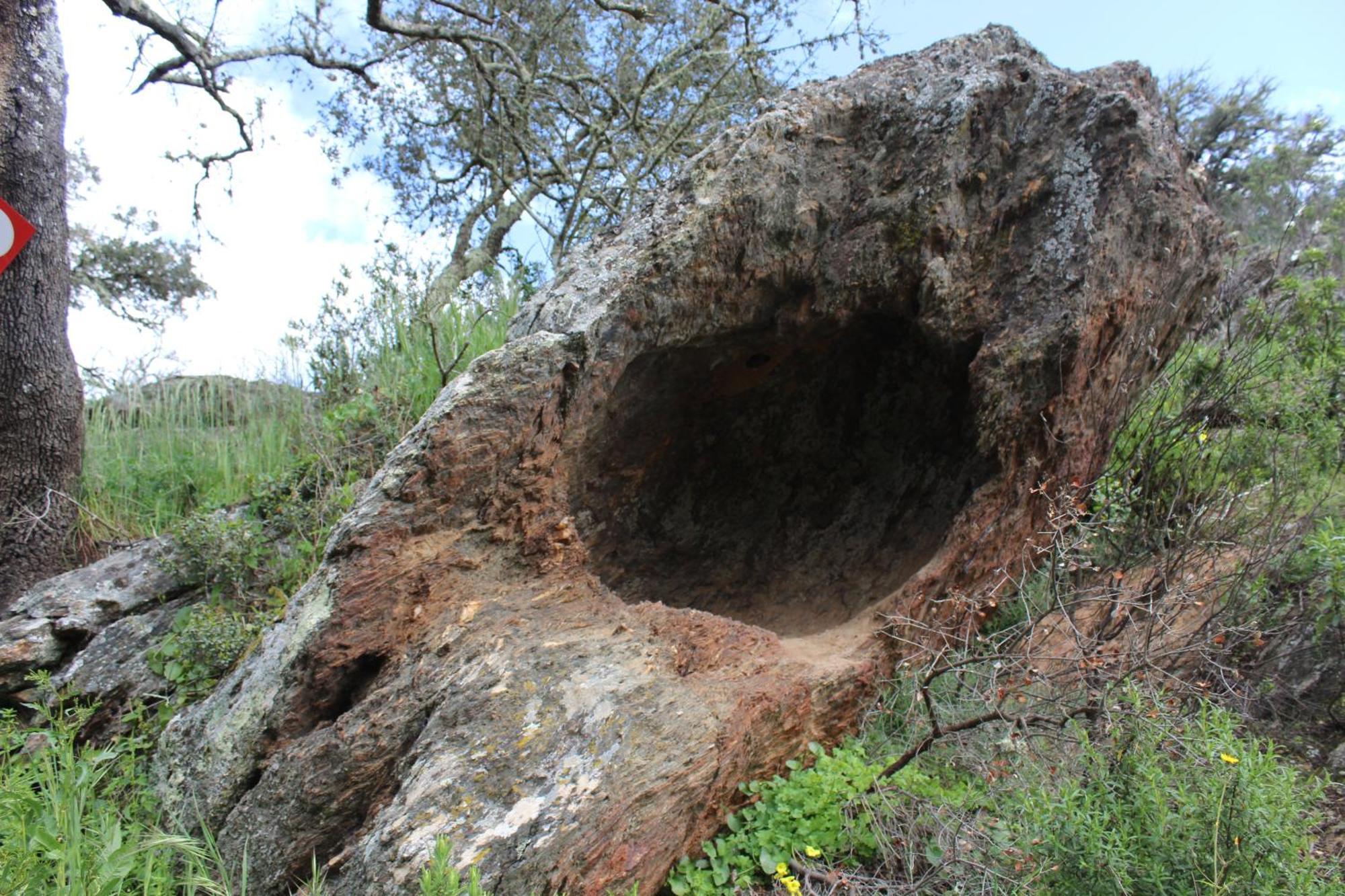 Agroturismo Xistos Cerca Dış mekan fotoğraf